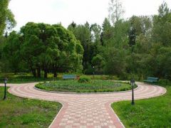 Ателика Сосновый бор