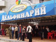Морская звезда (Лазаревское)