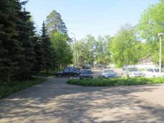 Сосны ВОС