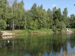 Сосны ВОС