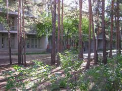 Лесники