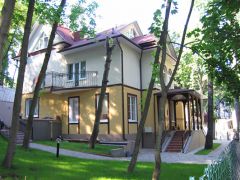 Фламинго