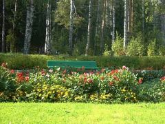 Зеленый городок