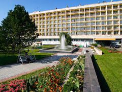 Подмосковье УДП РФ
