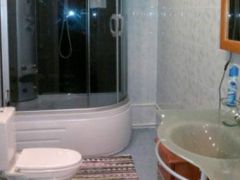 Березовая роща