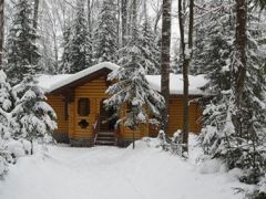 Березовая роща