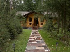 Березовая роща