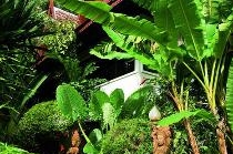 THE WHITE HOUSE (SAMUI)