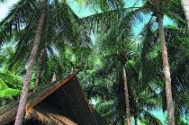 FOUR SEASONS RESORT SAMUI