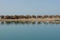 JASMINE VILLAGE