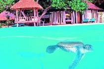 BANYAN TREE MALDIVES VABBINFARU
