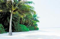 BIYADHOO ISLAND RESORT