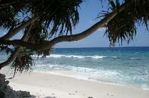 CINNAMON ISLAND ALIDHOO