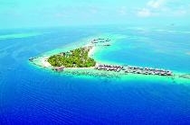 COCO PALM BODU HITHI