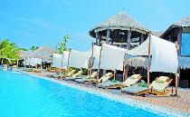 COCO PALM BODU HITHI