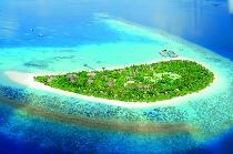 COCO PALM DHUNI KOLHU