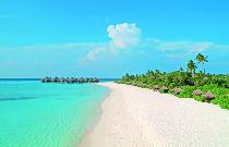 COCO PALM DHUNI KOLHU