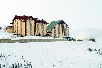 DEDEMAN PALANDOKEN
