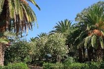 APOLLONIA BEACH RESORT & SPA