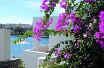MINOS BEACH ART HOTEL