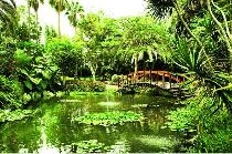 BOTANICO
