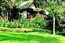 CENTARA VILLAS PHUKET