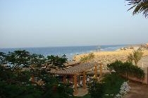 RESTA REEF RESORT