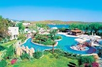 THE MAGNIFIC HOTEL