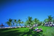 PALM TREE COURT & SPA