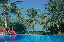 PALM TREE COURT & SPA