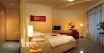 ARABIAN PARK HOTEL