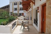 FALCON NAAMA STAR