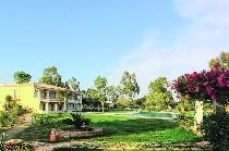 ARISTOTELES BEACH
