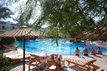 DIVE INN