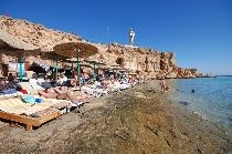 DIVE INN