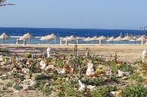 ONATTI BEACH RESORT