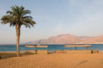 CORALIA DAHAB