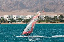 CORALIA DAHAB