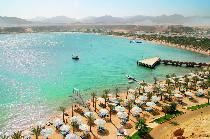 BEACH ALBATROS SSH