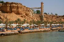 BEACH ALBATROS SSH