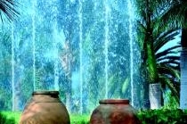 JARDINES DE NIVARIA