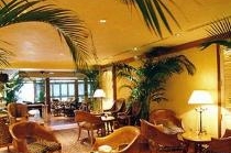 THE ORIENTAL