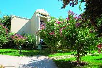 CLUB ASTERIA BELEK