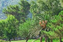 GRAND MEDITERRANEO RESORT & SPA