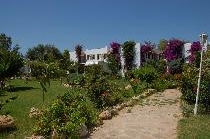 KOSDERE GARDEN