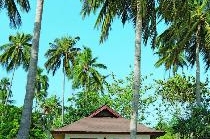 HOLIDAY INN (PHI PHI ISLAND)