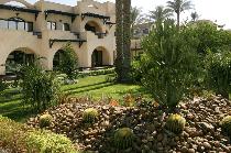OASIS CAIRO (PYRAMIDS AREA)