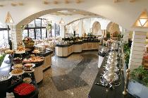 OASIS CAIRO (PYRAMIDS AREA)