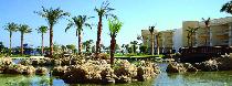 INTERCONTINENTAL ABU SOMA RESORT