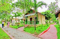 PATTAYA GARDEN
